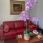 Maison Ruggero Affittacamere Catania